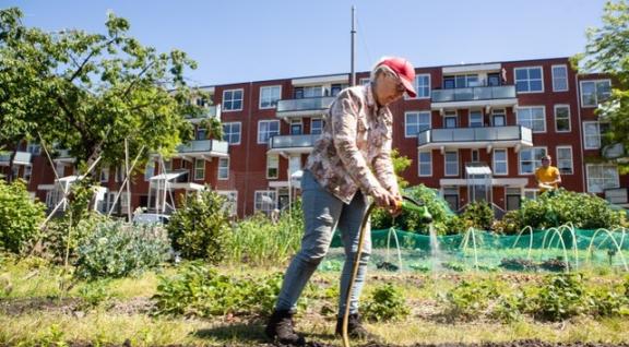 Het Eetbare Plantsoen