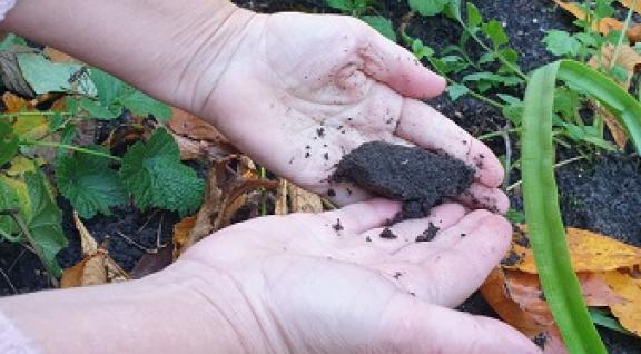 handen voelen de grond