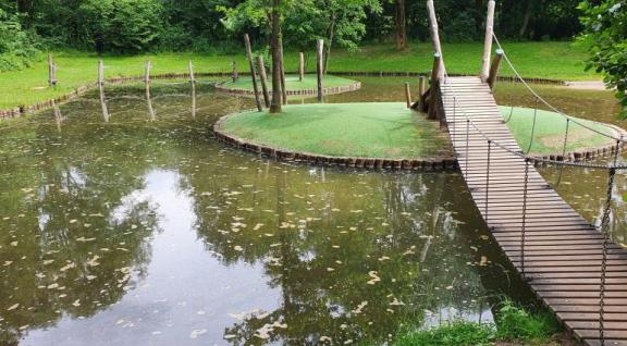 Stilstaand water in park