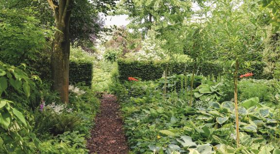 Tuin met pad met houtsnippers