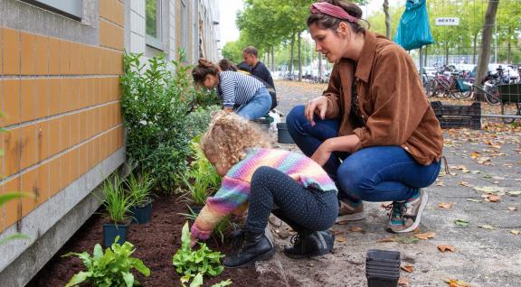 Mensen leggen geveltuin samen aan