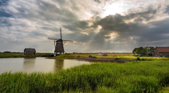 Molen in landschap 
