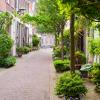 Smalle straat in Haarlem met woningen en een smal pad in het midden met heel veel groen