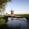 Zicht vanaf een slootje op de molens in Kinderdijk op de achtergrond