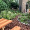 Watervriendelijke tuin Watervriendelijke tuin Overvecht