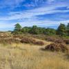 Landschap op Veluwe