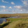 Natuur op Texel