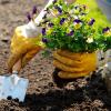 Plantje planten met schepje