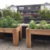 Moestuinbakken met planten op balkon