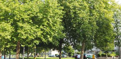 Wijk Overvecht in Utrecht