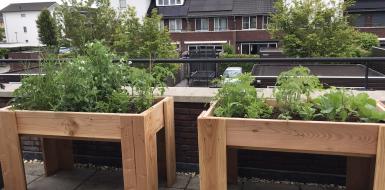 Moestuinbakken met planten op balkon