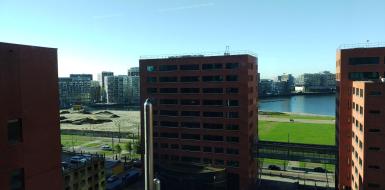 Rotterdam zwemmen tussen wolkenkrabbers